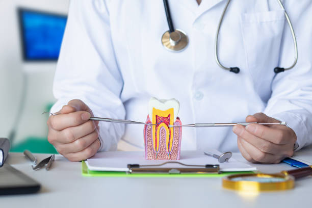 Best Pediatric Emergency Dentist in Moonachie, NJ